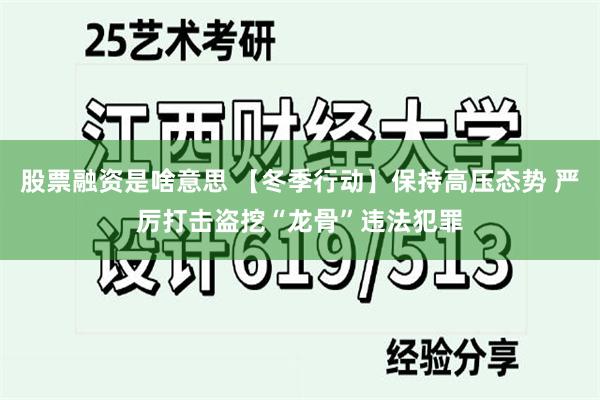 股票融资是啥意思 【冬季行动】保持高压态势 严厉打击盗挖“龙骨”违法犯罪