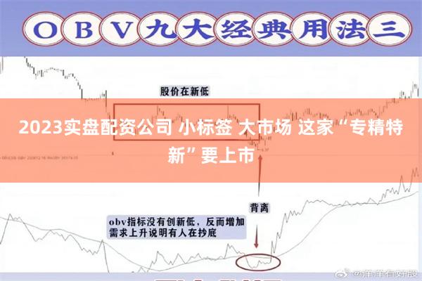 2023实盘配资公司 小标签 大市场 这家“专精特新”要上市