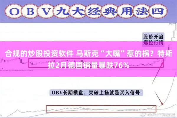 合规的炒股投资软件 马斯克“大嘴”惹的祸？特斯拉2月德国销量暴跌76%