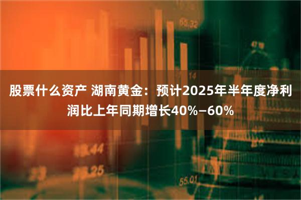 股票什么资产 湖南黄金：预计2025年半年度净利润比上年同期增长40%—60%